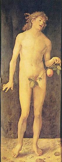 Albrecht Durer Adam oil painting image